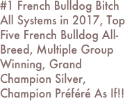 #1 French Bulldog Bitch All Systems in 2017, Top Five French Bulldog All-Breed, Multiple Group Winning, Grand Champion Silver,
Champion Préféré As If!!

